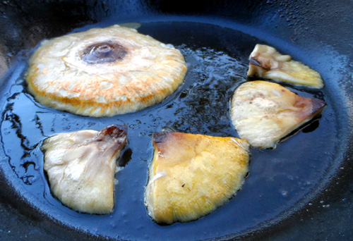 G o l a d i n h a_____________Kraftort in Zentral-Portugal » Parasol