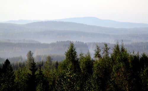 Finnland 5 -AussichtsTurm, Goladinha