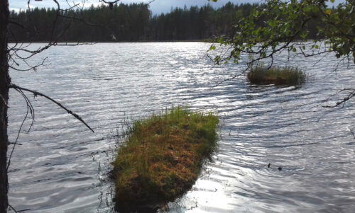 Finnland 11 - kleinen See entdeckt, Spazieren gehen, Goladinha