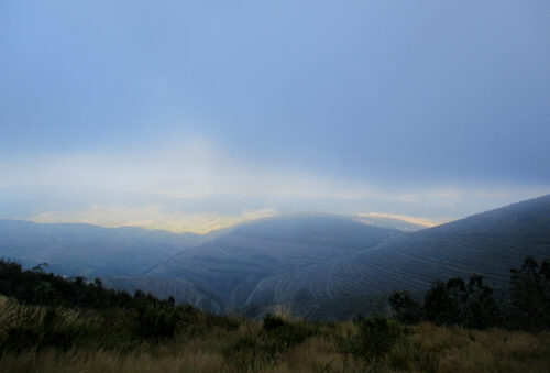 Wind und Wolken fegen über die Serra, Kälte und Hirsche, Goladinha