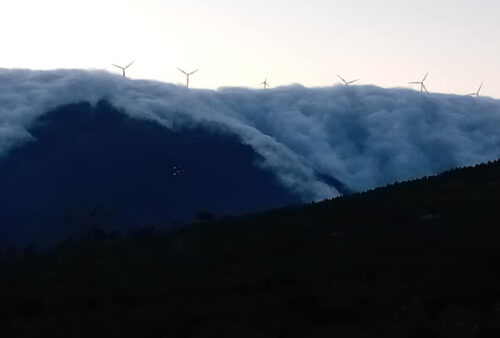 Wind und Wolken fegen über die Serra, Kälte und Hirsche, Goladinha