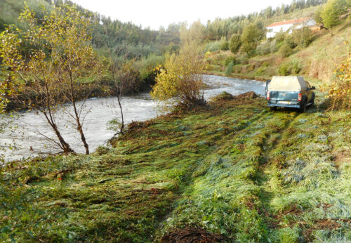 Alge, Überschwemmung, Flussterrasse, Land weggeschwemmt, Goladinha, Portugal