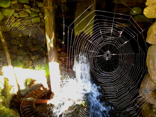 Spinnweben, verlasseneMühle, Camino Ferida da Pedra, Espinhal, Goladinha, Portugal