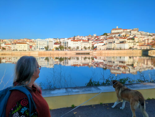 Coimbra, Ausflug, Baumarkt, Goladinha, Portugal