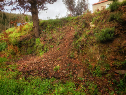 Wildschweine im Tal und um das Haus herum, Goladinha, Portugal