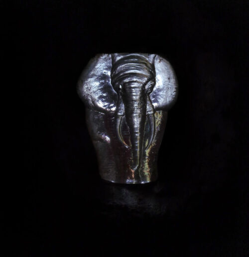 CASA MADEIRA, Elefanten eingemauert, Glasrelief, Goladinha, Portugal