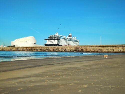 Porto, Praia Titan, Schiff, Möven, Gebläse, Goladinha, Portugal