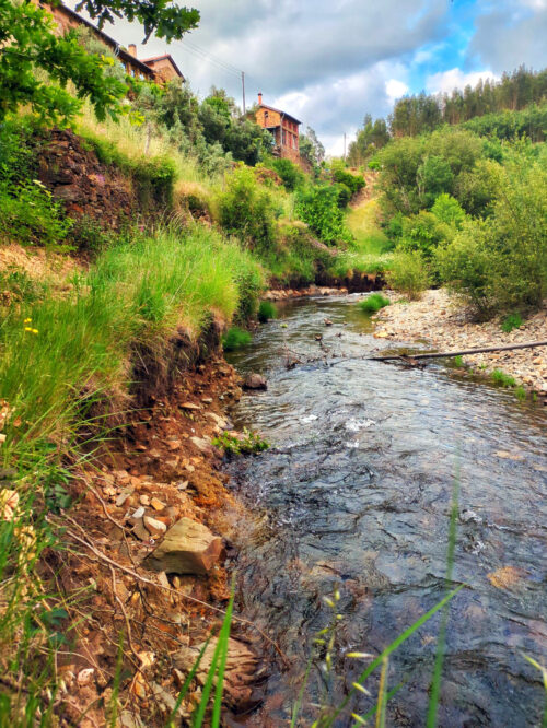 Alge-Ufer, Felsen, nach Winter, Terrassenmauer, Goladinha, Portugal