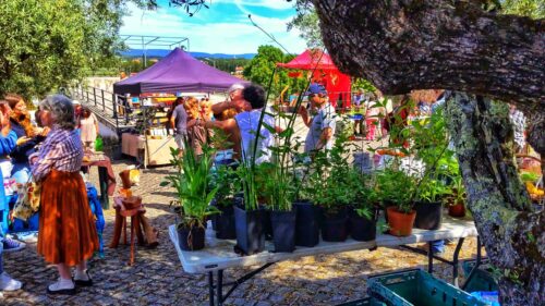 Wochenmarkt, Graca, Flohmarkt, Künstermarkt, Goladinha, Portugal