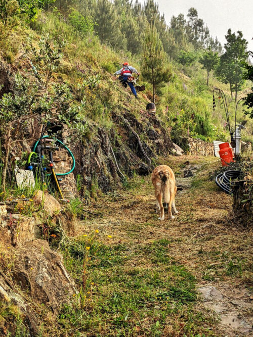 Limpeza, Yoga im Alltag, Malaica, Hund, Steilhang, Goladinha, Portugal