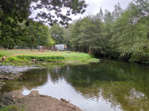 Serra Cabreira, Camping Cabreira, Goladinha, Portugal