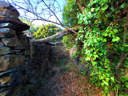 Ruine, kleiner Teil überdacht, Schuppen, Goladinha, Portugal