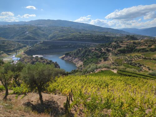 Barragem Varosa, Goladinha, Portugal