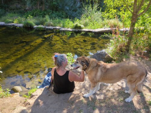 Camping, Rio Varosa, Goladinha, Portugal