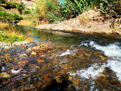 Alge baden, starke Strömung, Schlittenfahren, Goladinha, Portugal