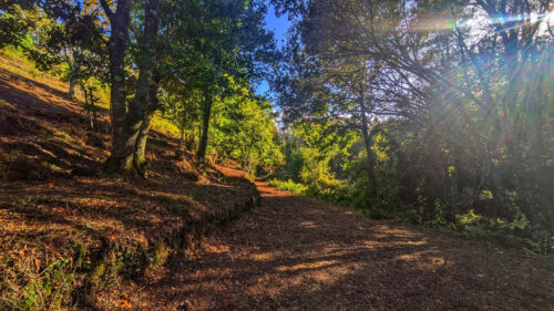 Herbst, Feenlandt, terrasiertes Kulturland, Goladinha, Portugal