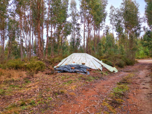 rätselhafter Haufen im Wald, mit Plastik abgedeckt, Goladinha, Portugal