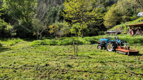 saisonale Grundstückspflege, Blue Tiger, Wiese, Terrasse mähen, Goladinha, Portugal