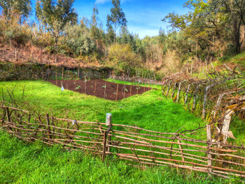 Pardieiros, Horta, typischer Garten, Brachland, Seitental, Goladinha