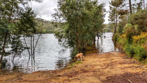 Regen, Stausee Cabril, super voll gewesen, Goladinha, Portugal