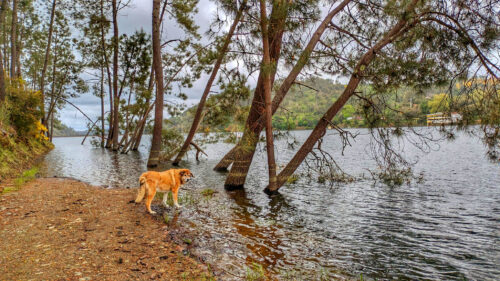 Regen, Stausee Cabril, super voll gewesen, Goladinha, Portugal