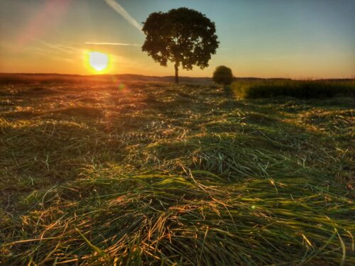 Grassilo, Sonnenuntergang, Deutschland, Knaubenhof, Goladinha, Portugal