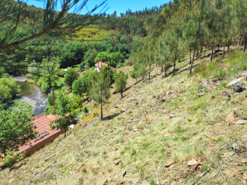 Limpeza, Brandschutz, Grundstückspflege, Goladinha, Portugal,