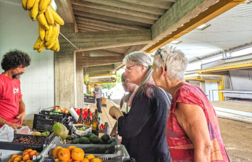 Markttag, Figueiro dos Vinhos, Jason, Vila Facaia, Biologisches Gemüse, Goladinha, Portugal