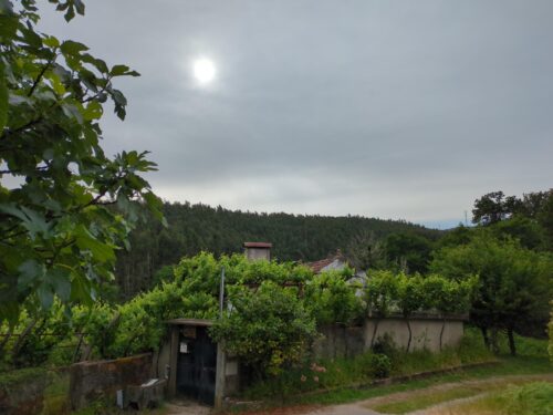 Immobilie, Pardieiros, Andriano, Goladinha, Portugal