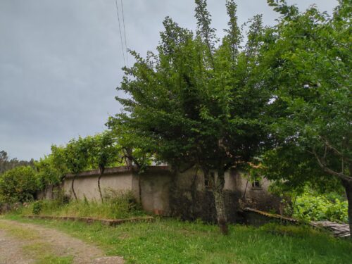 Immobilie, Pardieiros, Andriano, Goladinha, Portugal