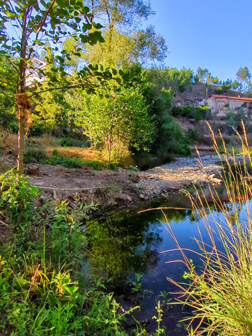 Alge, Sommerwasser, Wassertiefstand, Goladinha, Portugal