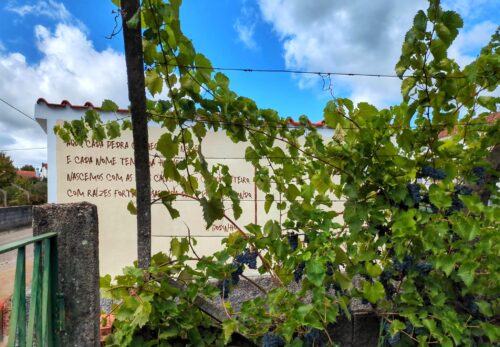 Faz un char, Fazunchar, Vilas de Pedro, S.F. Godinho, Goladinha, Portugal