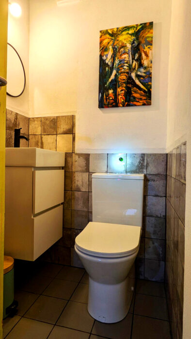 CASA MADEIRA, Toilette installiert, schwarz-weiss, elefant, buntes Bild, Goladinha, Portugal