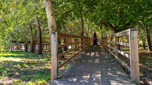 Parque Verde de Mondego, Coimbra, Holzsteg, Goladinha, Portugal