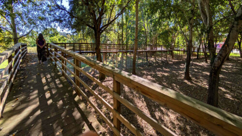 Parque Verde de Mondego, Coimbra, Holzsteg, Goladinha, Portugal