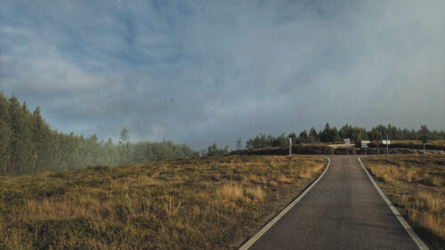 Nebel, Wolken, Serra Espinhal, Goladinha, Portugal
