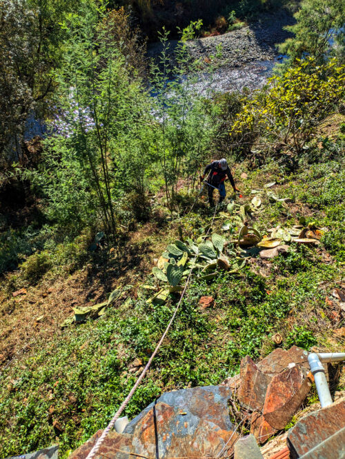 CASA AR, Limpeza, Brombeeren, Mimosen, Steilhang, Seilsicherung, Goladinha, Portugal