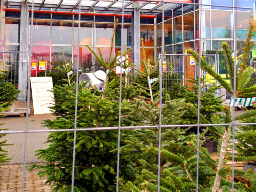 Christbaum, Deutschland, Weihnachten, Goladinha, Portugal,