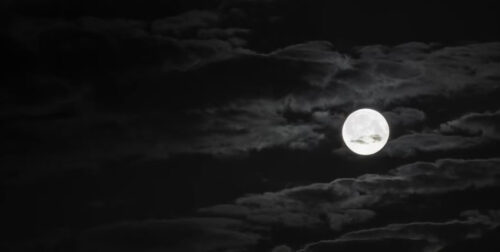 Frohe, Weihnachten, Fado, Rap, Goladinha, Portugal