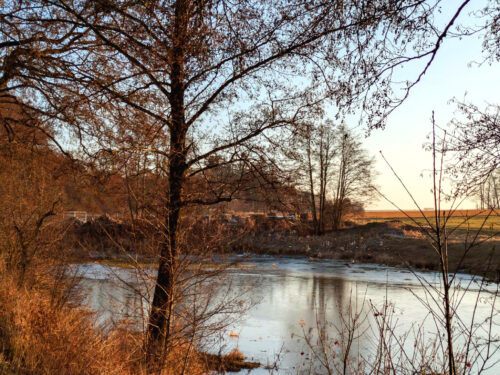 DE, Deutschland, Enten, Rückhaltebecken, Otting, Goladinha, Portugal,