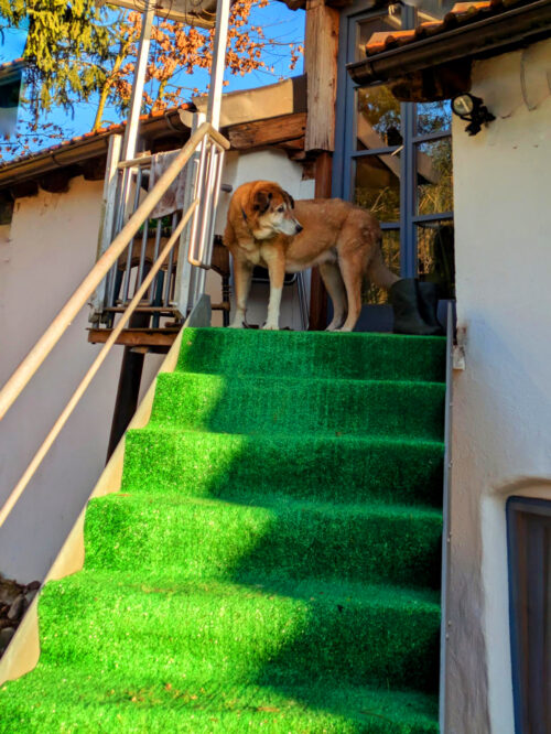 de, Deutschland, Knaubenhof, Abfahrt, alles richtig gemacht, Fahrt zurück nach Portugal, Goladinha, Portugal