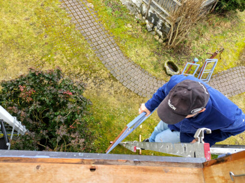 Renovierung auf dem Knaubenhof abgeschlossen, fertig, Goladinha, Portugal