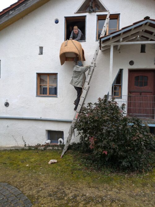 de, Deutschland, Sessel, Umzug, Afrika, Fledermauszimmer, Knaubenhof, Goladinha, Portugal,