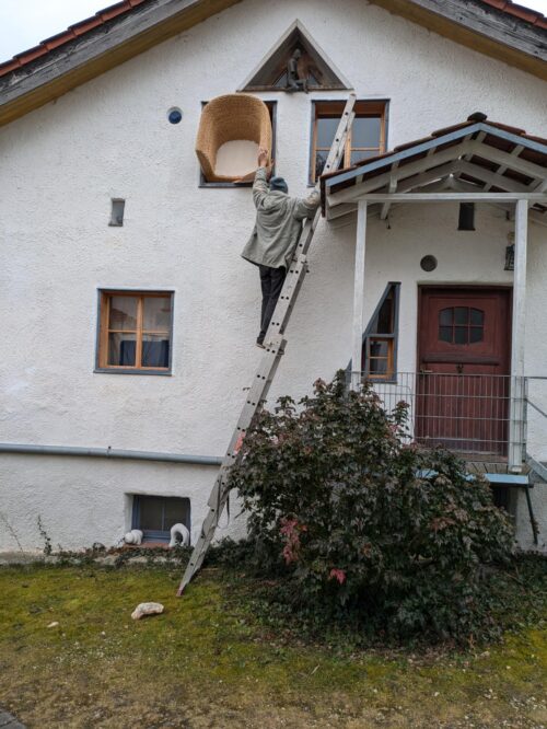 de, Deutschland, Sessel, Umzug, Afrika, Fledermauszimmer, Knaubenhof, Goladinha, Portugal,