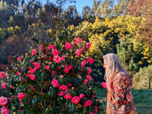 ch zurück, Reise, Memmingen, Flughafen Porto, Aeroporto, Deutsche Bahn AG, Verspätung, Goladinha Portugal