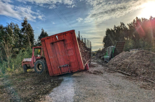 Eukalyptus, häcksel, Häcksler, Auflieger eingeknickt, Stapler, Goladinha, Portugal