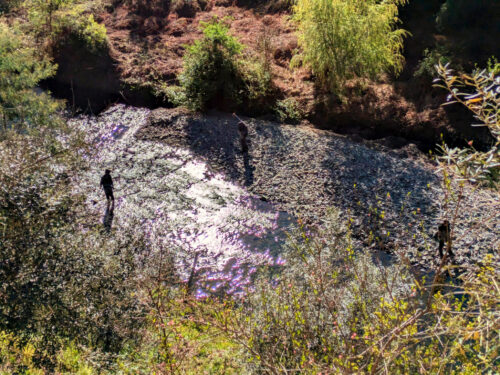 Fischer, fischen Alge, Zugang zum Wasser daef niemanden verwehrt werden. Goladinha, Portugal
