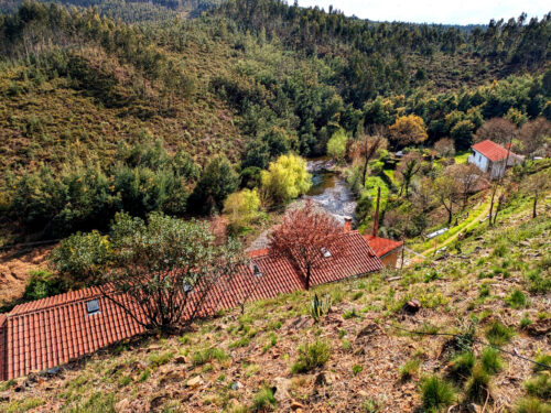 Frühjahr, Bäume, Blätter, warme Tahe, Goladinha, Portugal