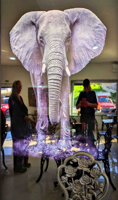 Ausflug Hochzeitstag, Cafe Paris, Figueiro dos Vinhos, schick, modern, edel exclusiv, Goladinha, Portugal