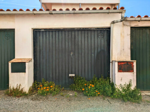 Wohnanlage Pedrogao Grande, Garage, Ringelblumen, Calendula, Goladinha, Portugal